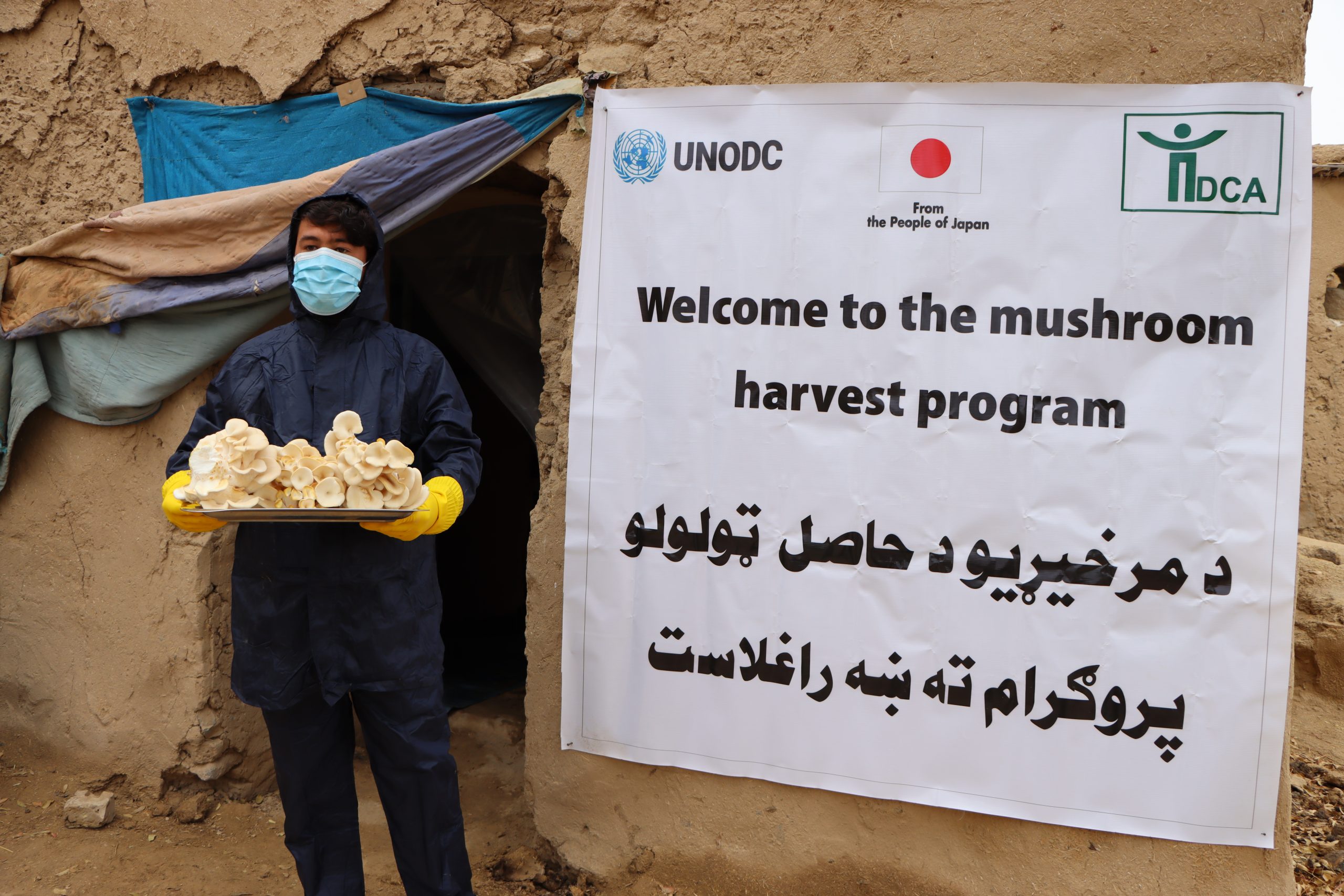 DCA Quarterly Newsletter (October-December) 2025