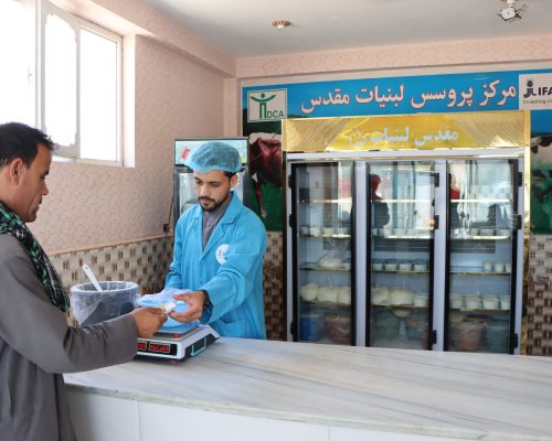 DCA Annual Report 2023